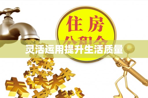 太仆寺旗灵活运用提升生活质量